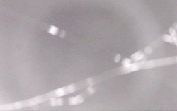 Ski Areál Opálená