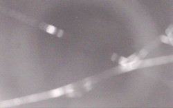 Ski Areál Opálená