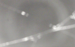 Ski Areál Opálená