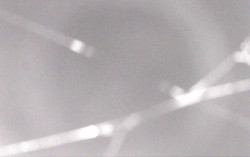 Ski Areál Opálená