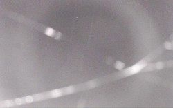 Ski Areál Opálená