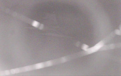 Ski Areál Opálená