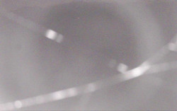 Ski Areál Opálená