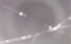 Ski Areál Opálená