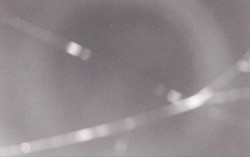 Ski Areál Opálená