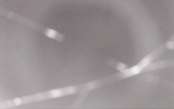 Ski Areál Opálená