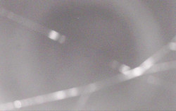 Ski Areál Opálená