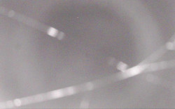 Ski Areál Opálená