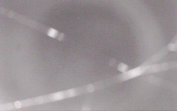 Ski Areál Opálená