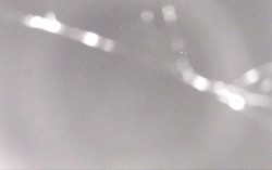 Ski Areál Opálená