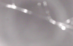 Ski Areál Opálená