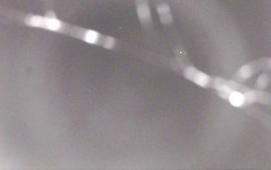 Ski Areál Opálená