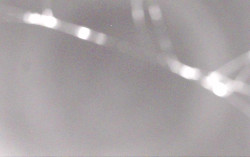 Ski Areál Opálená