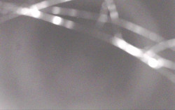 Ski Areál Opálená