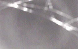 Ski Areál Opálená