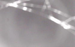 Ski Areál Opálená