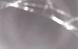 Ski Areál Opálená