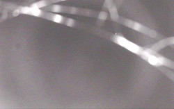 Ski Areál Opálená