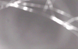 Ski Areál Opálená