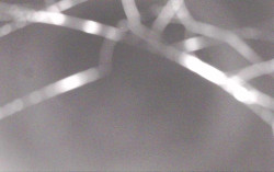 Ski Areál Opálená