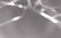 Ski Areál Opálená