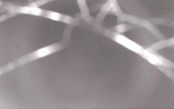 Ski Areál Opálená