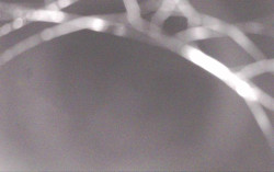 Ski Areál Opálená