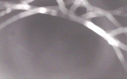 Ski Areál Opálená