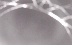 Ski Areál Opálená