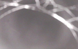 Ski Areál Opálená