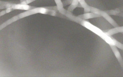 Ski Areál Opálená