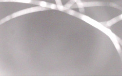 Ski Areál Opálená