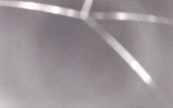 Ski Areál Opálená