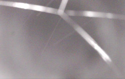 Ski Areál Opálená