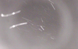 Ski Areál Opálená