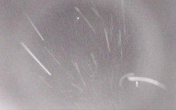 Ski Areál Opálená