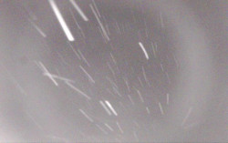 Ski Areál Opálená