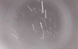 Ski Areál Opálená