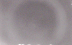 Ski Areál Opálená