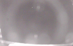 Ski Areál Opálená