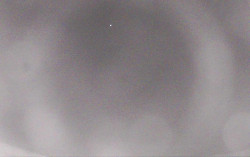 Ski Areál Opálená