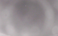 Ski Areál Opálená