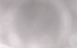 Ski Areál Opálená