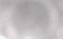 Ski Areál Opálená