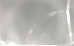 Ski Areál Opálená