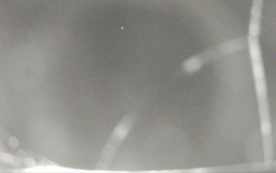 Ski Areál Opálená