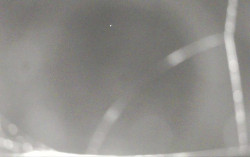 Ski Areál Opálená