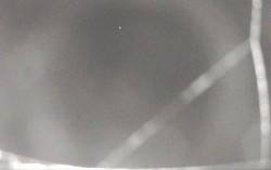 Ski Areál Opálená