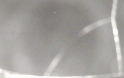 Ski Areál Opálená