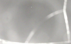 Ski Areál Opálená